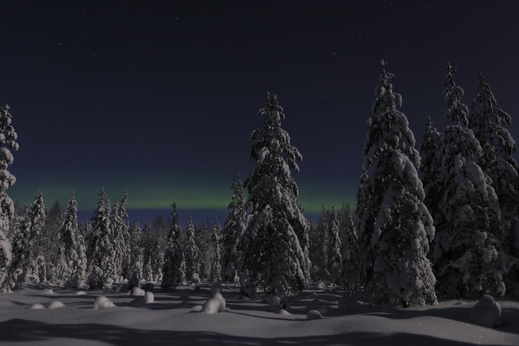 Lapland Northern Lights Hotel Ilveslinna Ranua Exterior foto