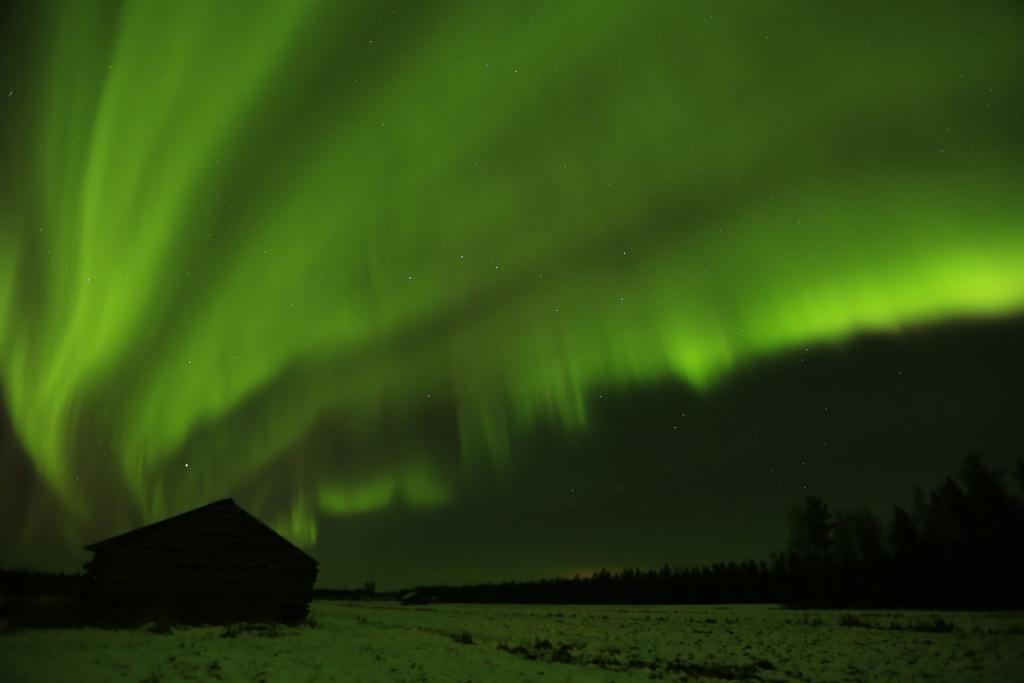 Lapland Northern Lights Hotel Ilveslinna Ranua Exterior foto