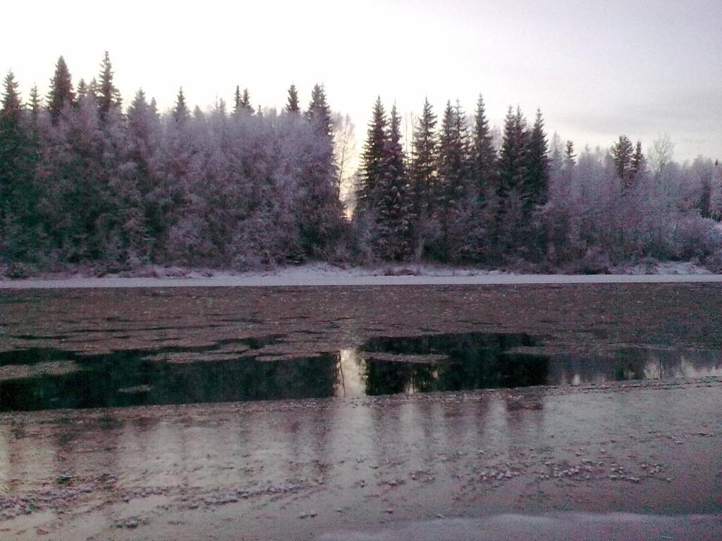 Lapland Northern Lights Hotel Ilveslinna Ranua Zimmer foto
